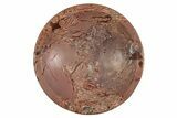 Polished Saharan Desert Jasper Dish - Morocco #326946-1